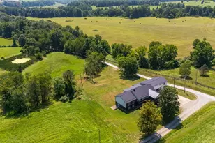 73881 Colerain Mt Pleasant Rd, Dillonvale, OH 43912 - Photo 45