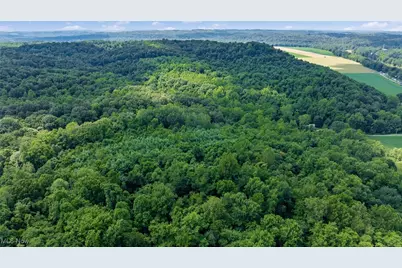 10200 N River Road, Dresden, OH 43821 - Photo 15