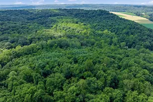 10200 N River Rd, Dresden, OH 43821 - Photo 15