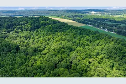 10200 N River Road, Dresden, OH 43821 - Photo 11