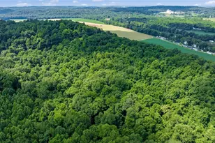 10200 N River Rd, Dresden, OH 43821 - Photo 11