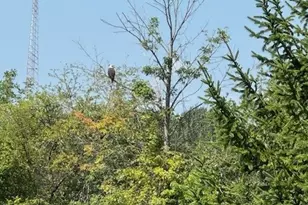 1526 Stevenson Rd, Ashtabula, OH 44004 - Photo 21