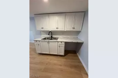 946 E 79th Street, Loveland, OH 44103 - Photo 21