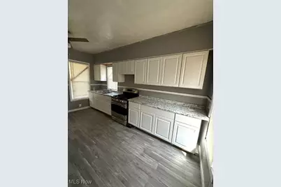 821 E 156th Street, Loveland, OH 44110 - Photo 3