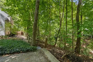 144 Sycamore Dr, Norwalk, OH 44857 - Photo 41