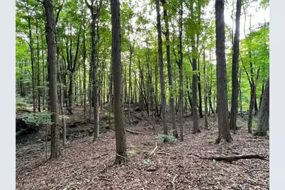 12386 Auburn Road, Chardon, OH 44024 - Photo 7