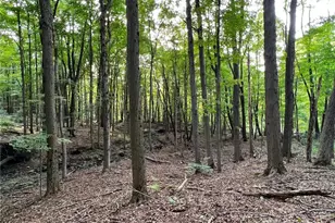 12386 Auburn Rd, Chardon, OH 44024 - Photo 7