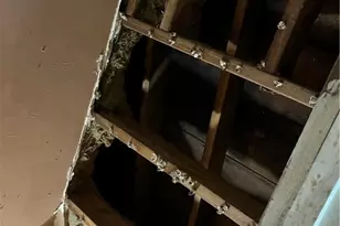 2313 Washington Blvd, Belpre, OH 45714 - Photo 13