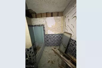 1270 E 58th Street, Loveland, OH 44103 - Photo 9