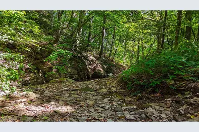 34625 State Route 7, Sardis, OH 43946 - Photo 49