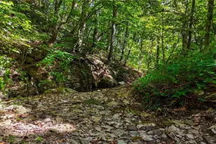 34625 State Route 7, Sardis, OH 43946 - Photo 49