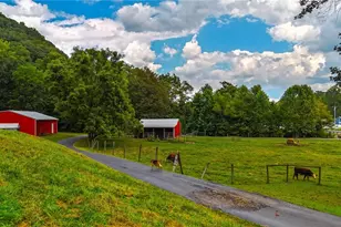 34625 State Route 7, Sardis, OH 43946 - Photo 45