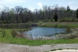 147 Morgan St, Oberlin, OH 44074 - Photo 39