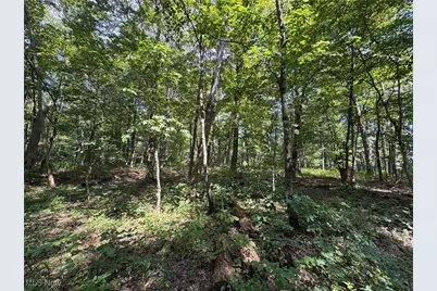 1455 St Rte 124, Coolville, OH 45723 - Photo 13