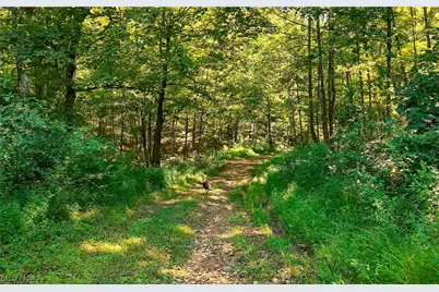 1455 St Rte 124, Coolville, OH 45723 - Photo 1