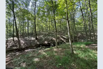 1455 St Rte 124, Coolville, OH 45723 - Photo 5