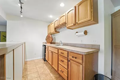 1437 Lake Vue Drive, Roaming Shores, OH 44085 - Photo 29