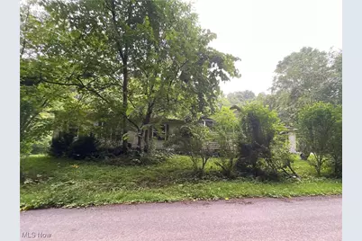 56000 Crabapple Road, Alledonia, OH 43902 - Photo 1