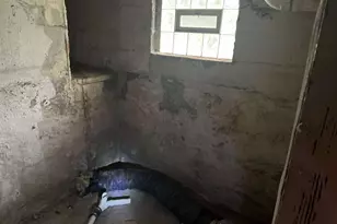 559 Morgan Ave, Akron, OH 44311 - Photo 9