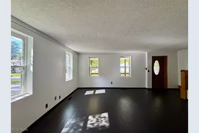 125 Bank Street, Lodi, OH 44254 - Photo 5