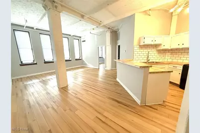 1133 W 9th Street #202, Loveland, OH 44113 - Photo 3