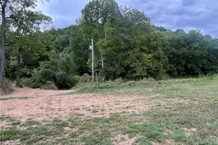 1285/1300/1340 Moody Hollow Rd, Blue Rock, OH 43720 - Photo 11