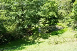 7348 S Raccoon Rd, Canfield, OH 44406 - Photo 49