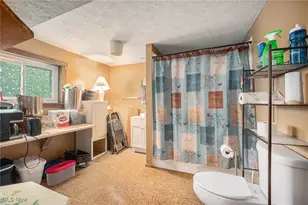 7032 Reed Rd, Conneaut, OH 44030 - Photo 23