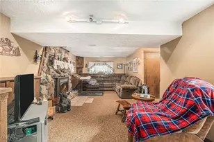 7032 Reed Rd, Conneaut, OH 44030 - Photo 19