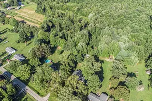 7032 Reed Rd, Conneaut, OH 44030 - Photo 45