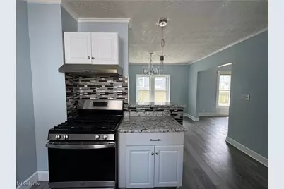 157 Henry Street, Akron, OH 44305 - Photo 17