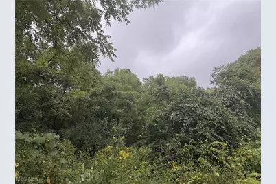 V/L Miltonsburg-Calais Road, Woodsfield, OH 43793 - Photo 3