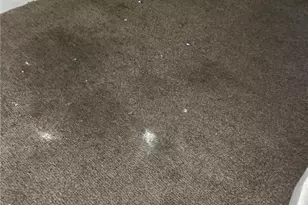 12404 Saywell Ave, Loveland, OH 44108 - Photo 5