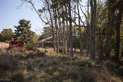 102 Mynster Lane, Richmond, OH 43944 - Photo 9