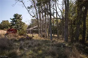 102 Mynster Ln, Richmond, OH 43944 - Photo 9