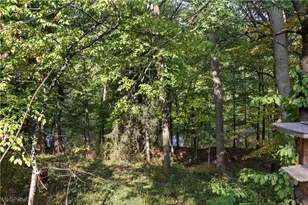 976 Gulf Rd, Elyria, OH 44035 - Photo 41