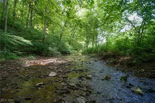 34799 Paw Rd, Lower Salem, OH 45745 - Photo 33