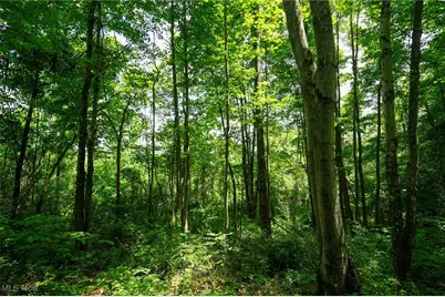 34799 Paw Rd, Lower Salem, OH 45745 - Photo 39