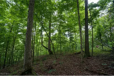 34799 Paw Rd, Lower Salem, OH 45745 - Photo 35