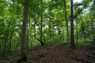 34799 Paw Rd, Lower Salem, OH 45745 - Photo 35