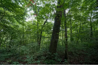 34799 Paw Rd, Lower Salem, OH 45745 - Photo 37