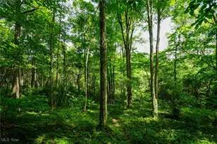 34799 Paw Rd, Lower Salem, OH 45745 - Photo 43