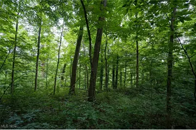 34799 Paw Rd, Lower Salem, OH 45745 - Photo 47