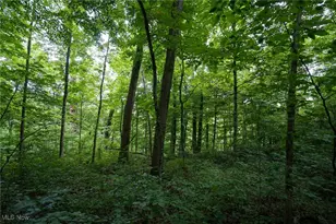 34799 Paw Rd, Lower Salem, OH 45745 - Photo 47