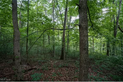 34799 Paw Rd, Lower Salem, OH 45745 - Photo 45