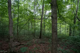 34799 Paw Rd, Lower Salem, OH 45745 - Photo 45