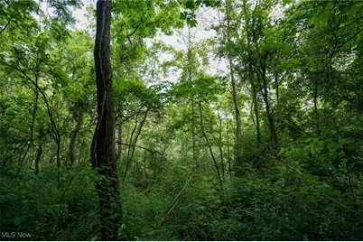 34799 Paw Rd, Lower Salem, OH 45745 - Photo 41