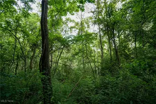 34799 Paw Rd, Lower Salem, OH 45745 - Photo 41