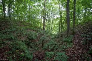 34799 Paw Rd, Lower Salem, OH 45745 - Photo 49