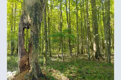 5427 Slater Road, Williamsfield, OH 44093 - Photo 47